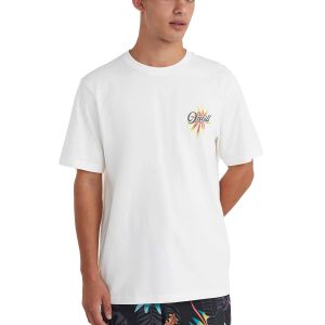 O'Neill Beach Graphic Men's T-Shirt 2850262-11010