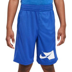 Nike Dri-FIT Big Kids' Training Shorts CU8959-480