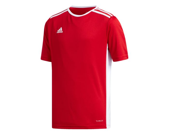 adidas Entrada 18 Boy's Jersey T-Shirt CF1050