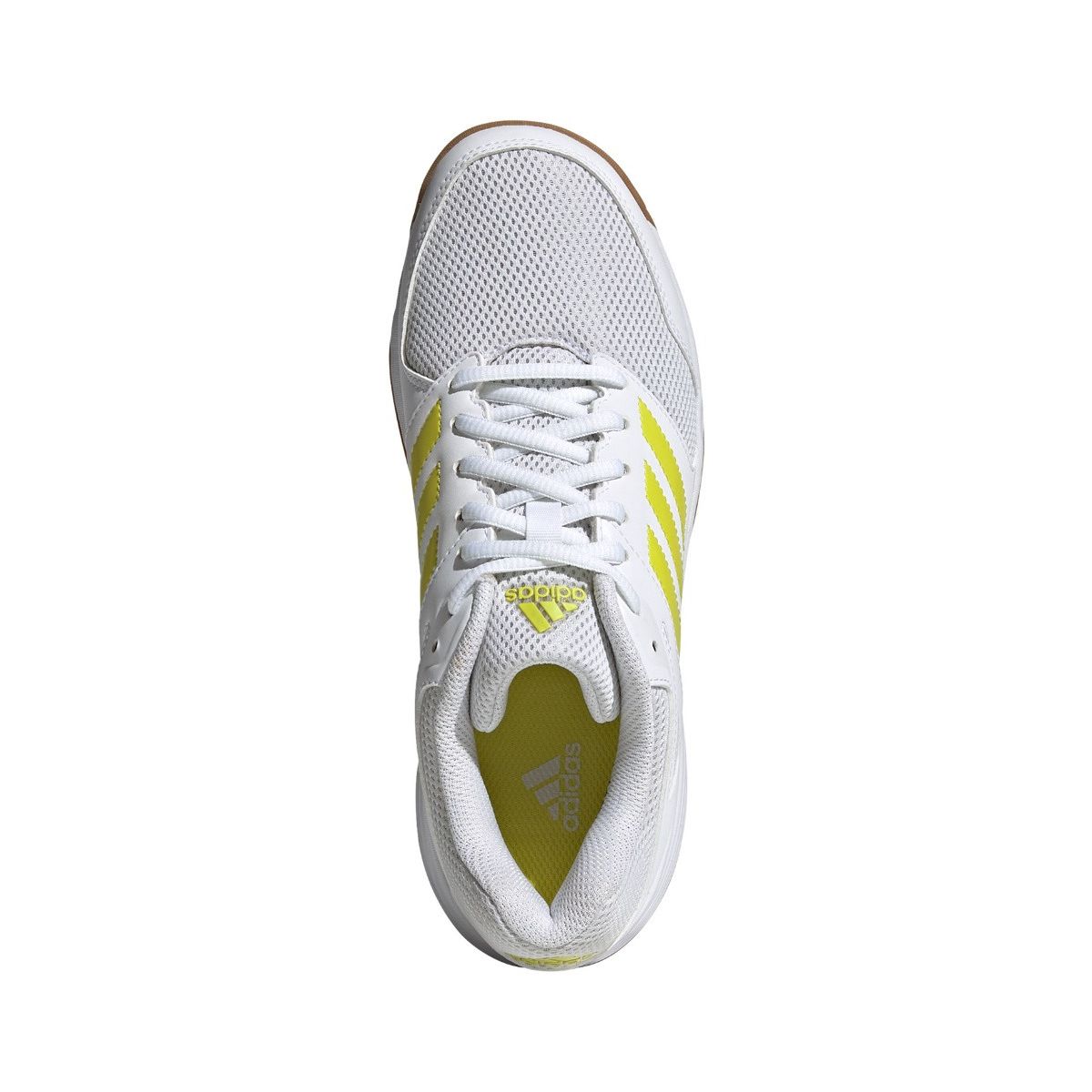 adidas Speedcourt Women's Volleyball Shoes FZ4683