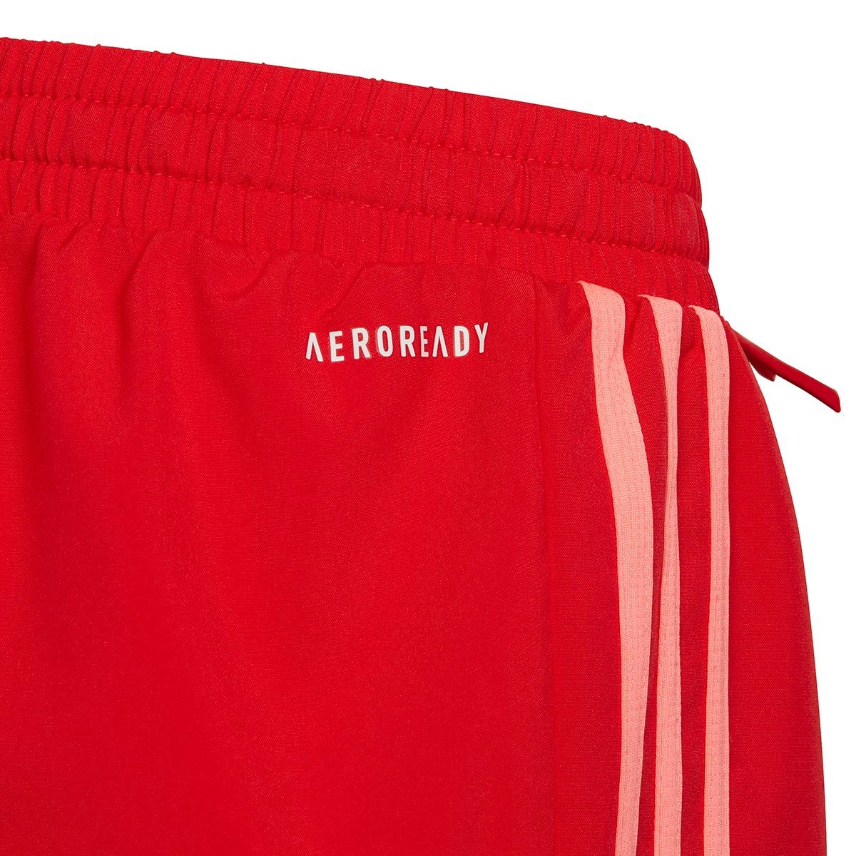 adidas Designed To Move 3 Stripes Girl's Shorts HE2014