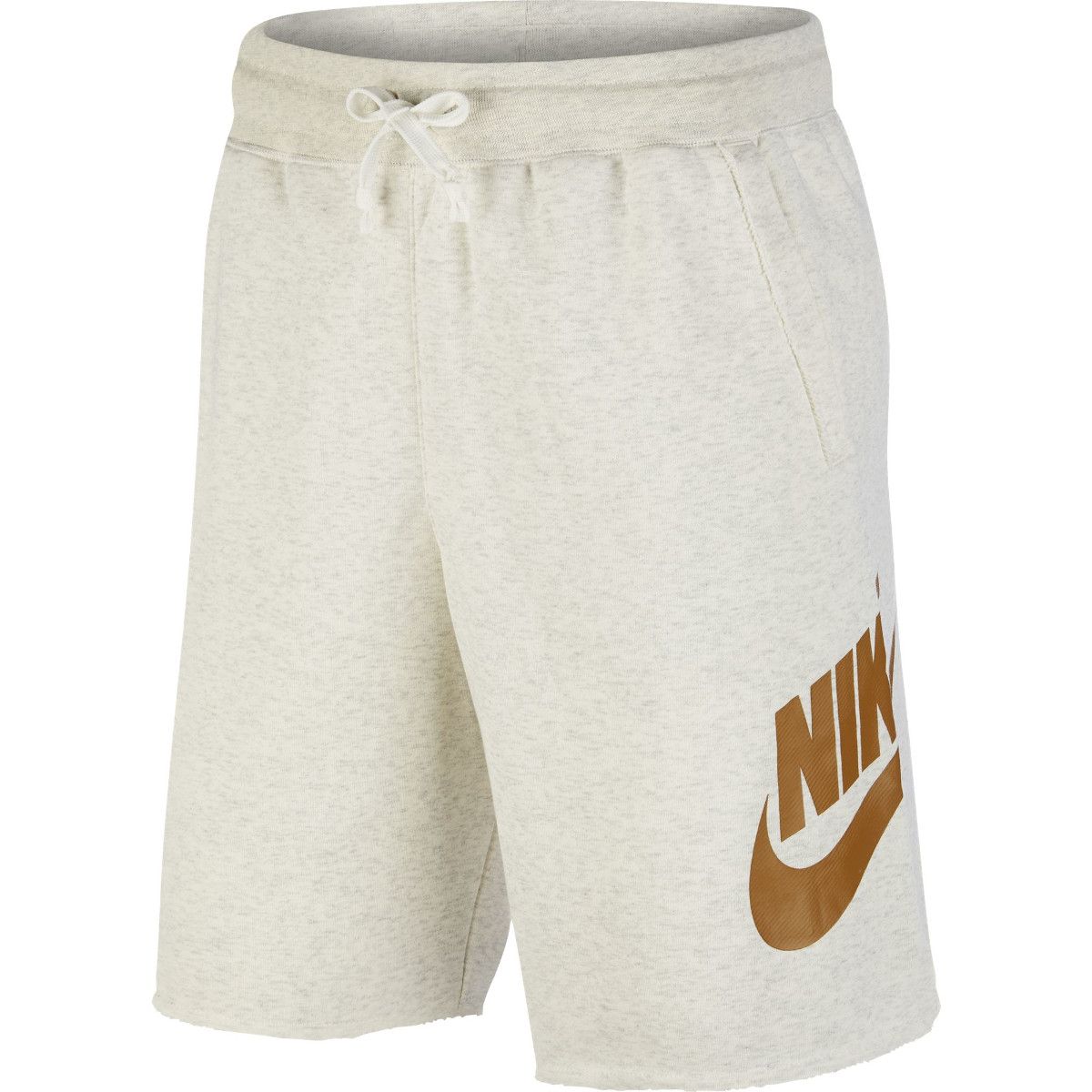 Nike Sportswear Men's Training Shorts AR2375-142